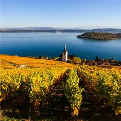 萄京娱乐棋牌app下载手机版